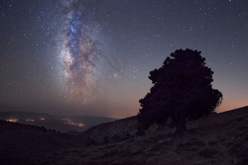 Самый настоящий свет фото превью