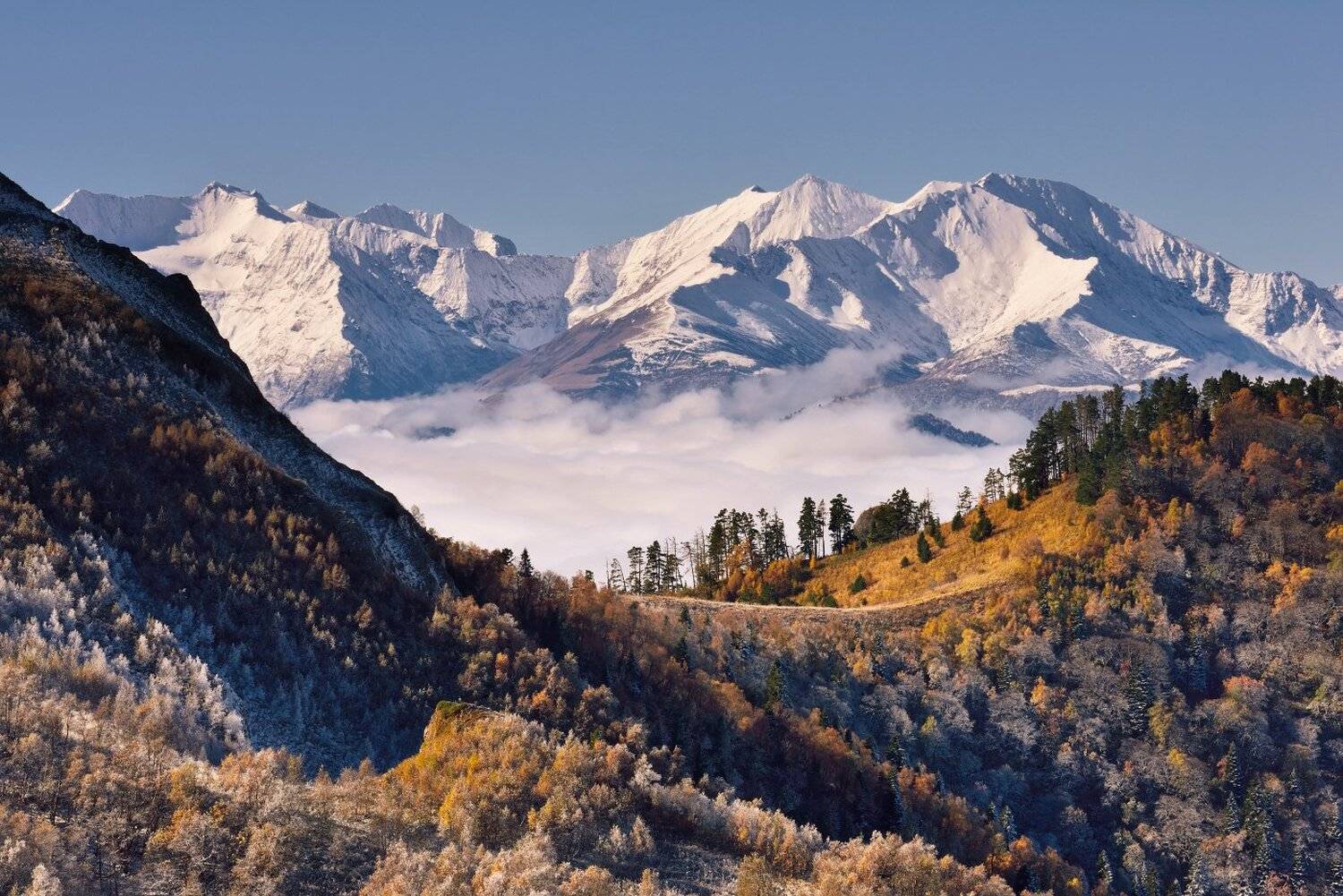 , Максим Евдокимов