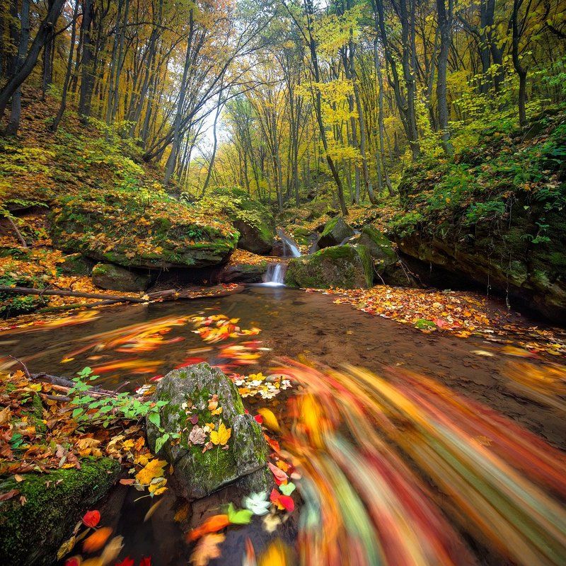 *** фото превью