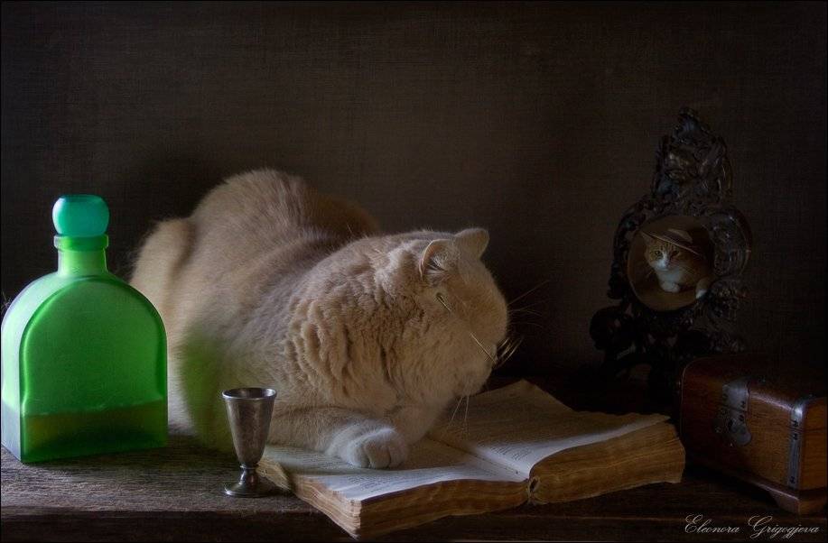 , Eleonora Grigorjeva