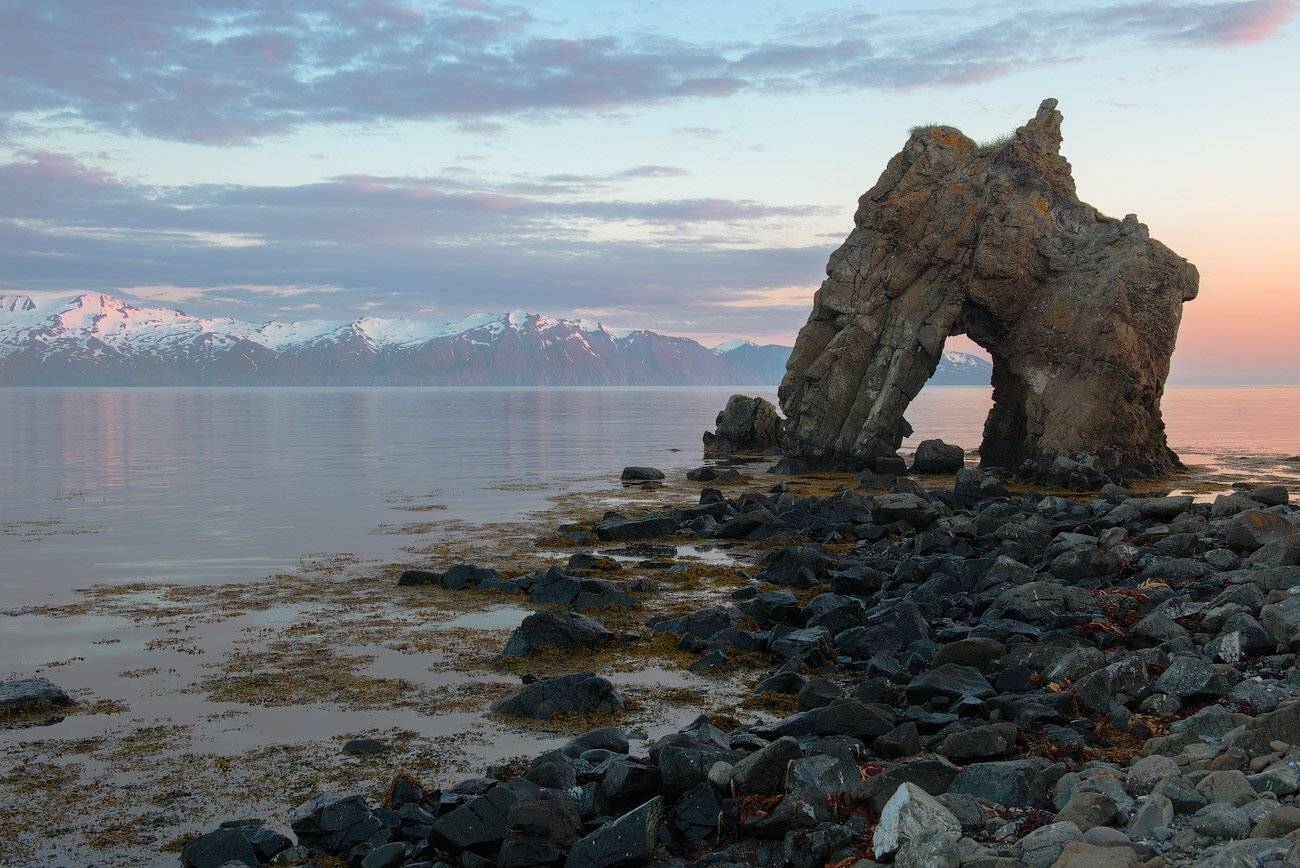 , Андрей Ведерников