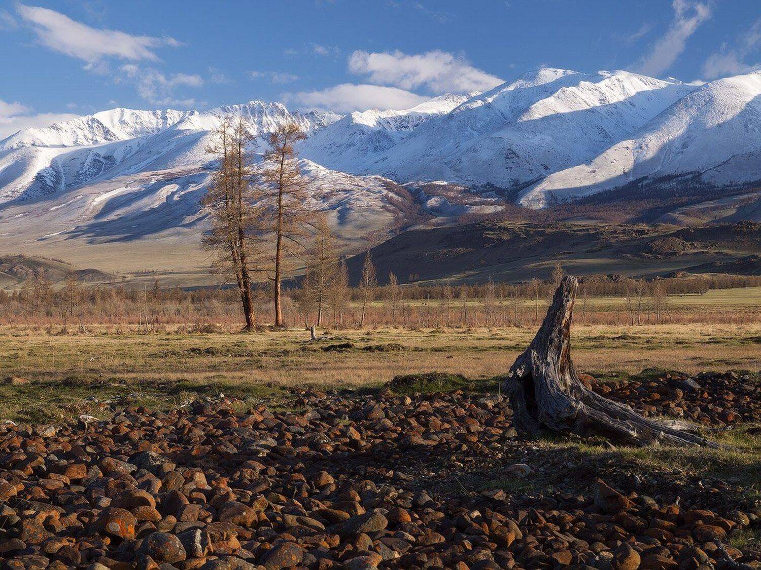 , Лещёнок Александр