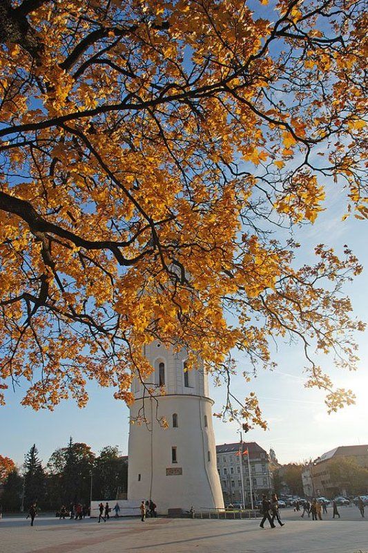 Золото Вильнюса (1) фото превью