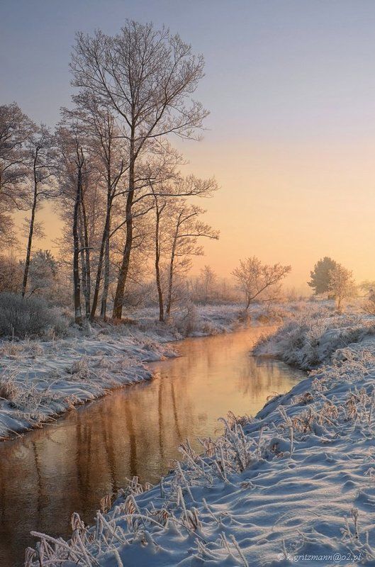 winter morning фото превью