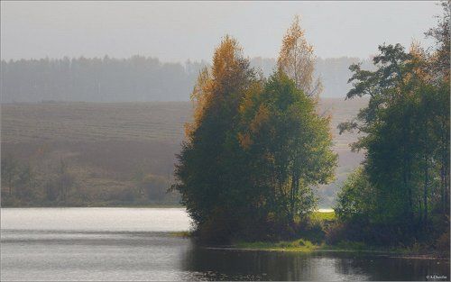 Туманно-октябрьская