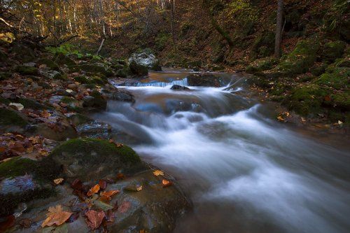 У осени в гостях