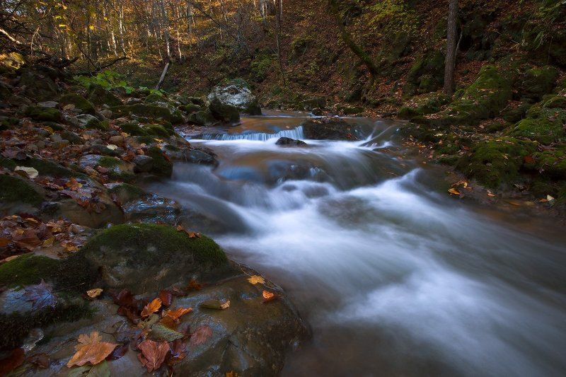 У осени в гостях фото превью