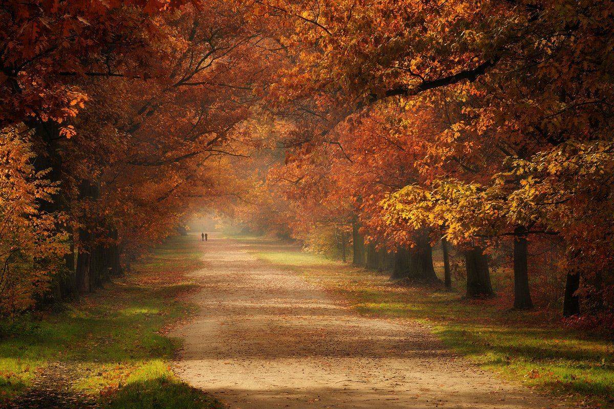 , Pawel Kucharski