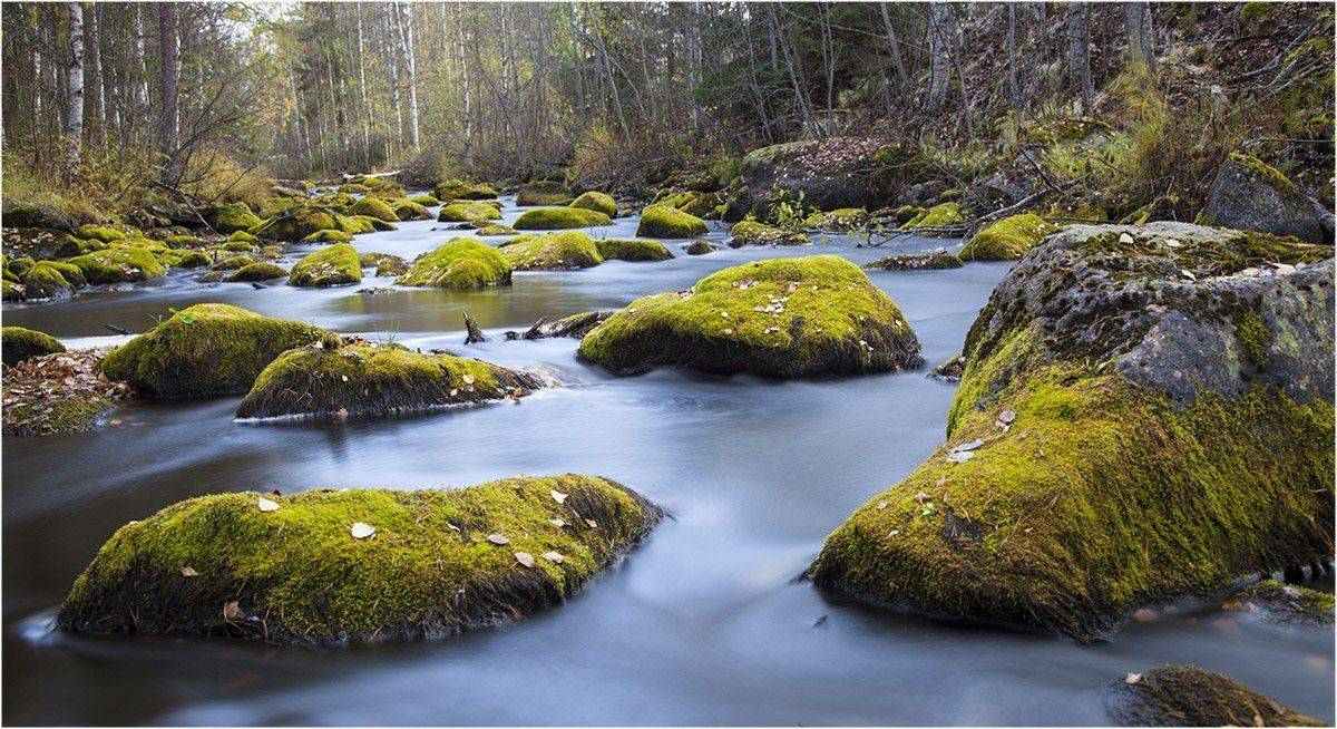, Valtteri Mulkahainen