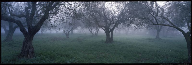 Vitorchiano фото превью