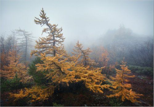 В туманах Серебрянского камня