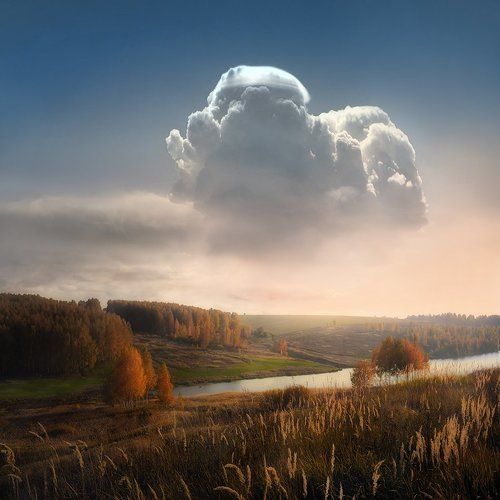 а дело в шляпе)
