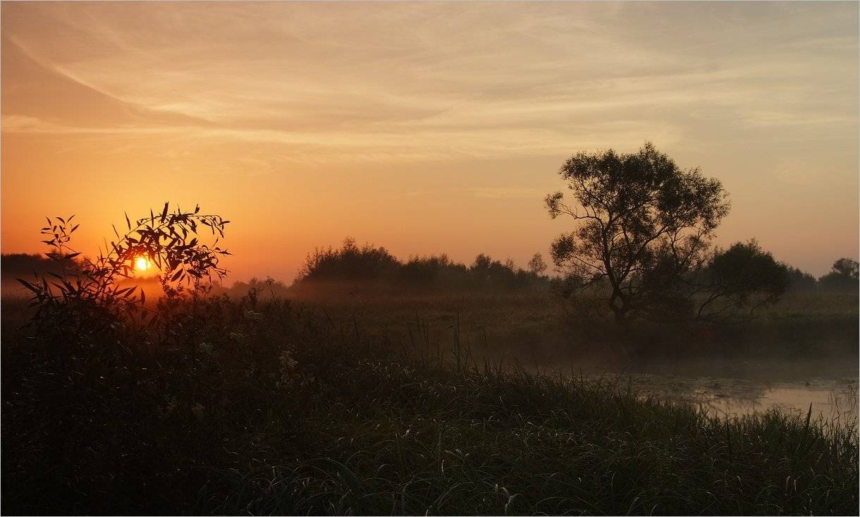 , Николай Шахманцир