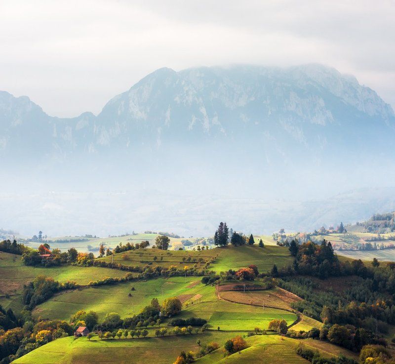 Autumn, Fog, Hills, Landscape, Nature, Romania, Transilvania, Trees Early autumn on the hills фото превью