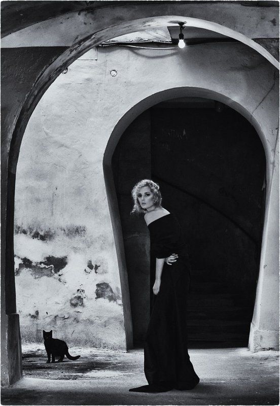 кошки... фото превью