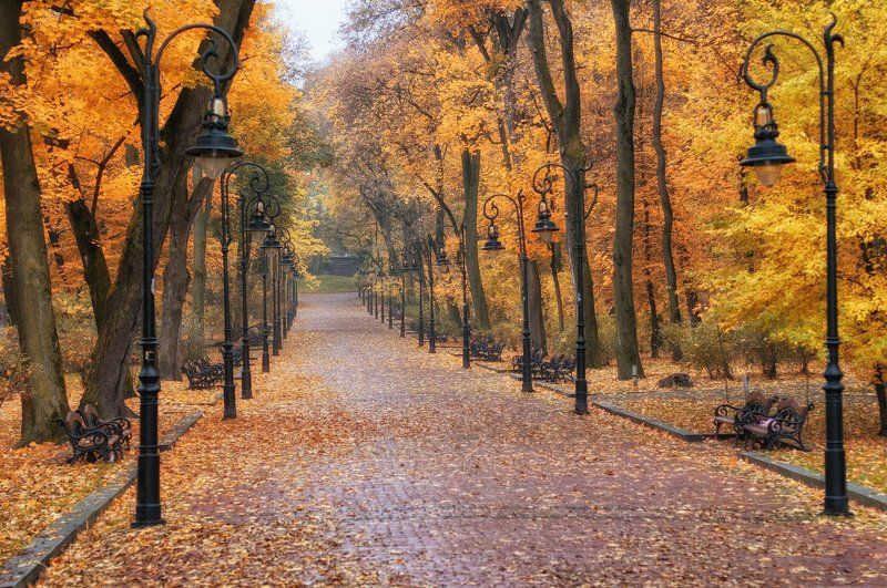 Осенний парк фото превью