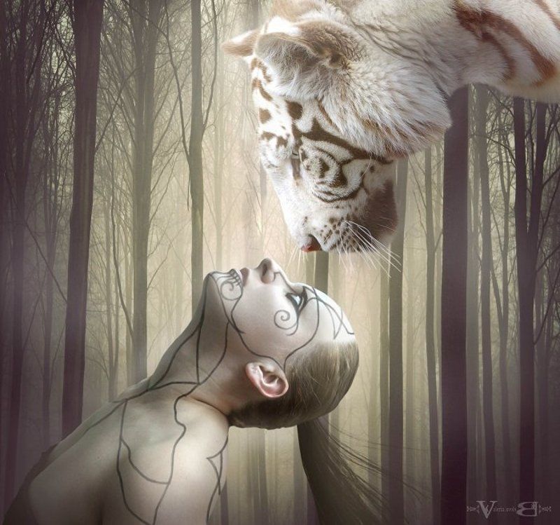 Взгляд фото превью