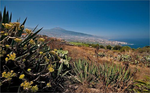 тенерифские заметки