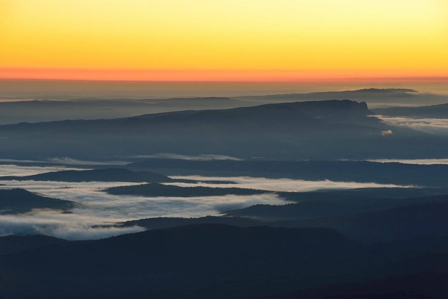 , Максим Евдокимов