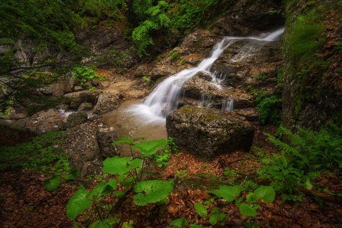 Mountain freshness