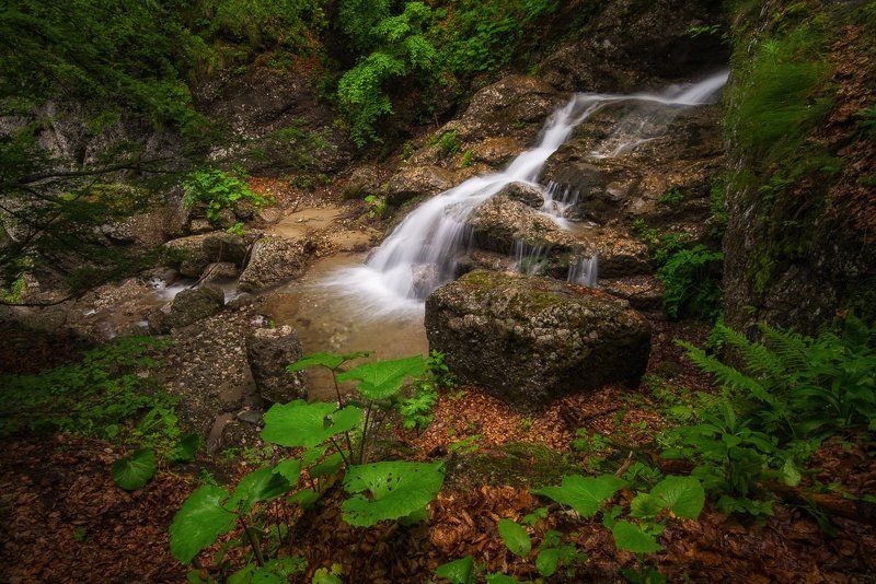 Mountain freshness фото превью