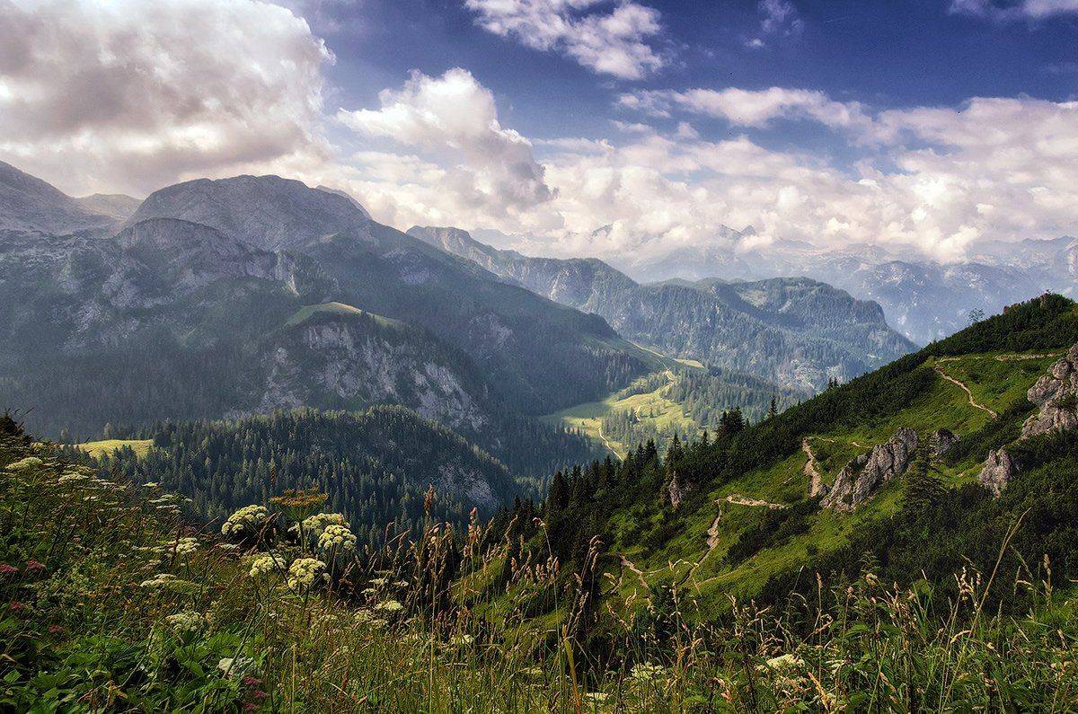 , Игорь Мелекесцев