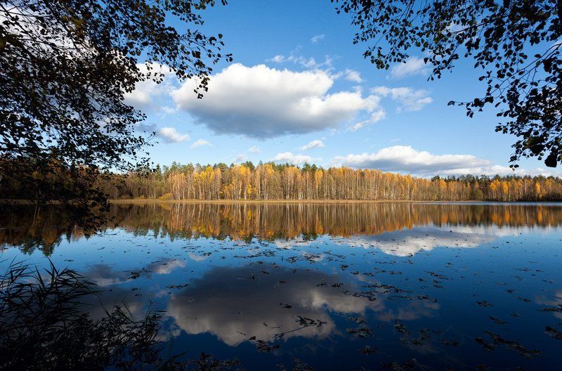 * фото превью