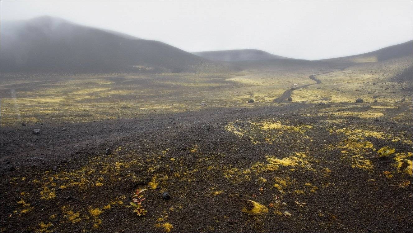 , Вадим Никифоров