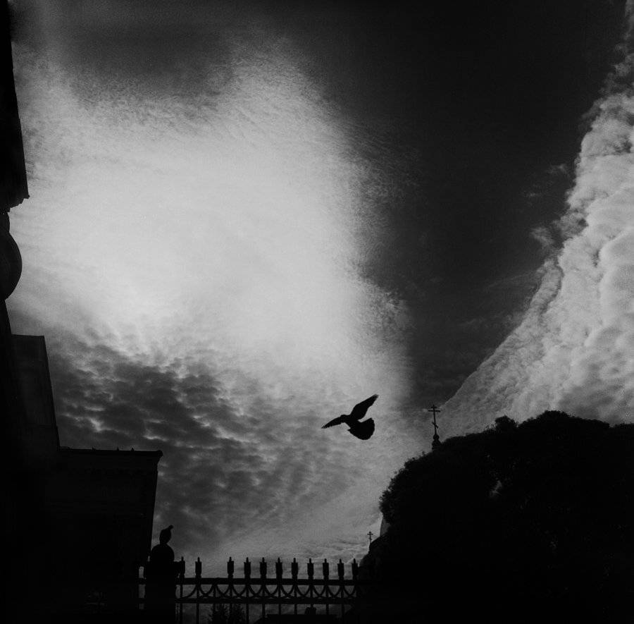 , Павел Мартюшев