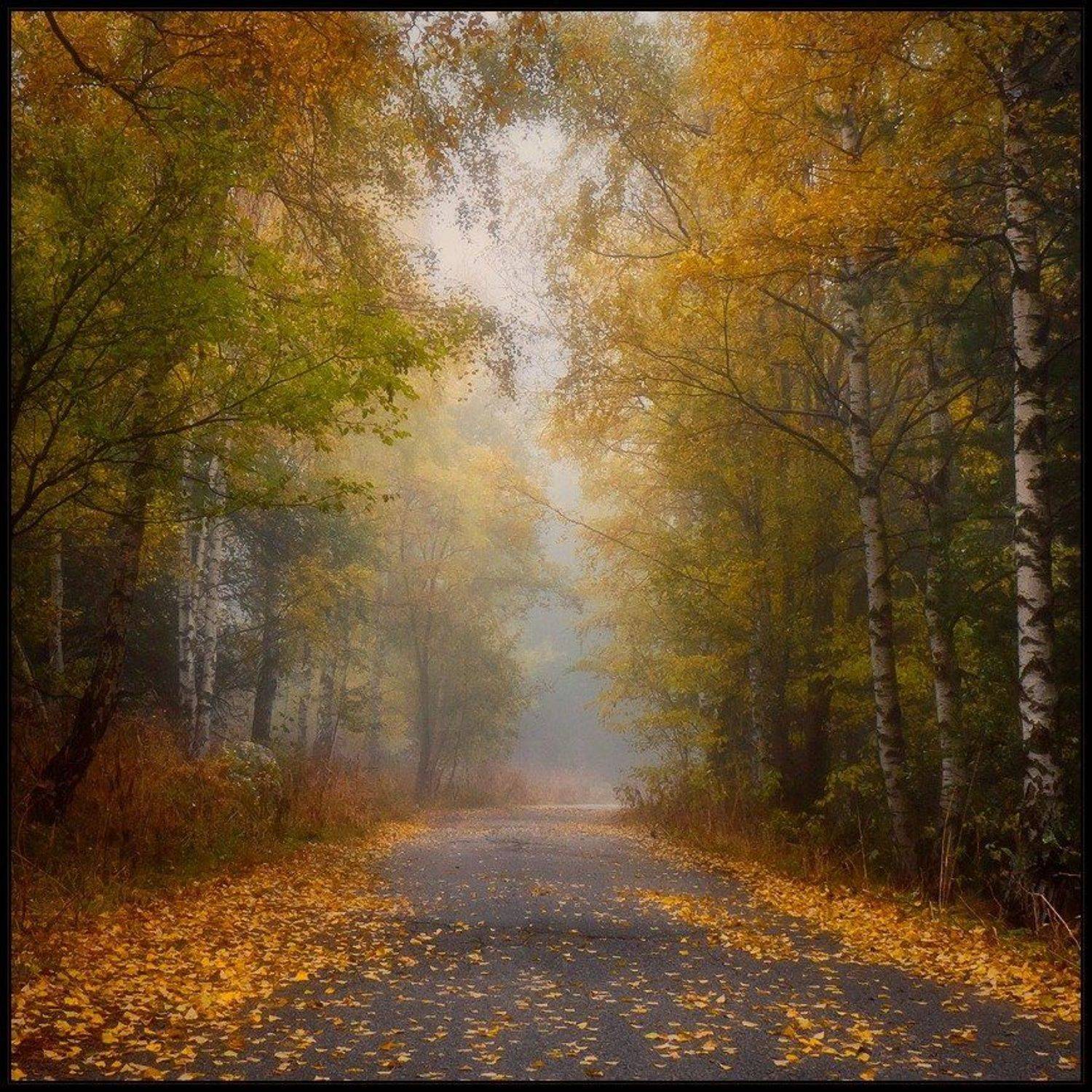 bulgaria, vitosha, Svetoslav Georgiev