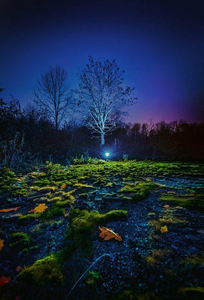 , Сергей Зимин