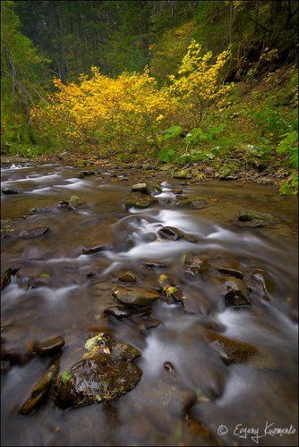 Осень на ручье Ястребок