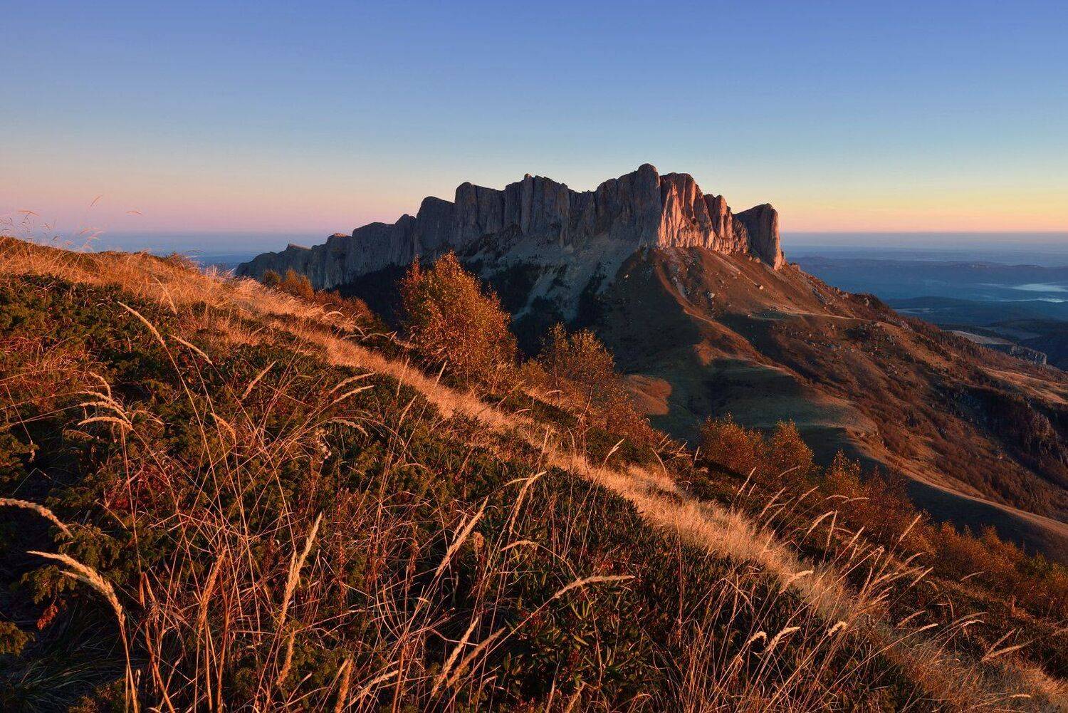 , Максим Евдокимов