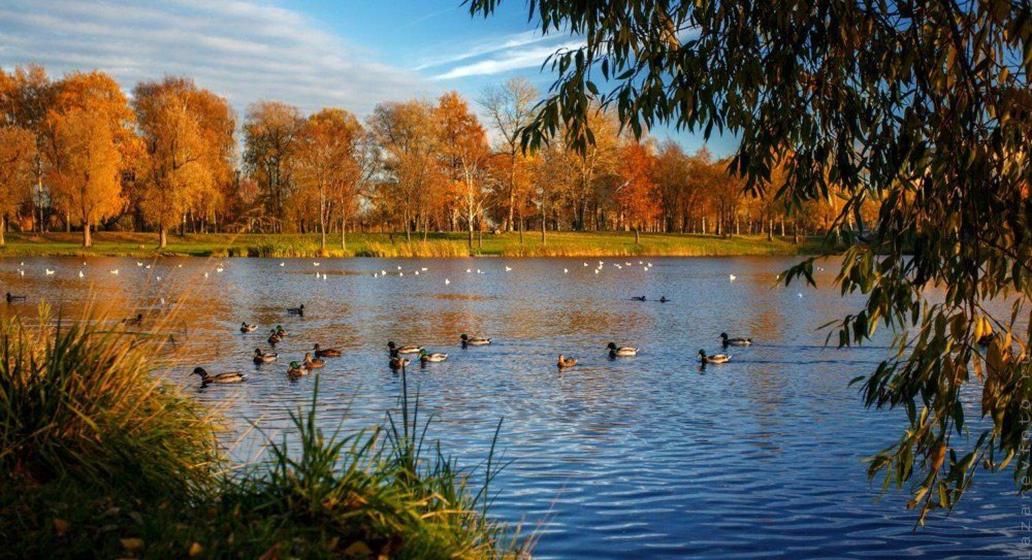 , Лазарев Александр