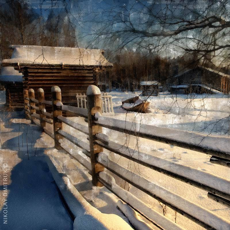 , николай дмитрук