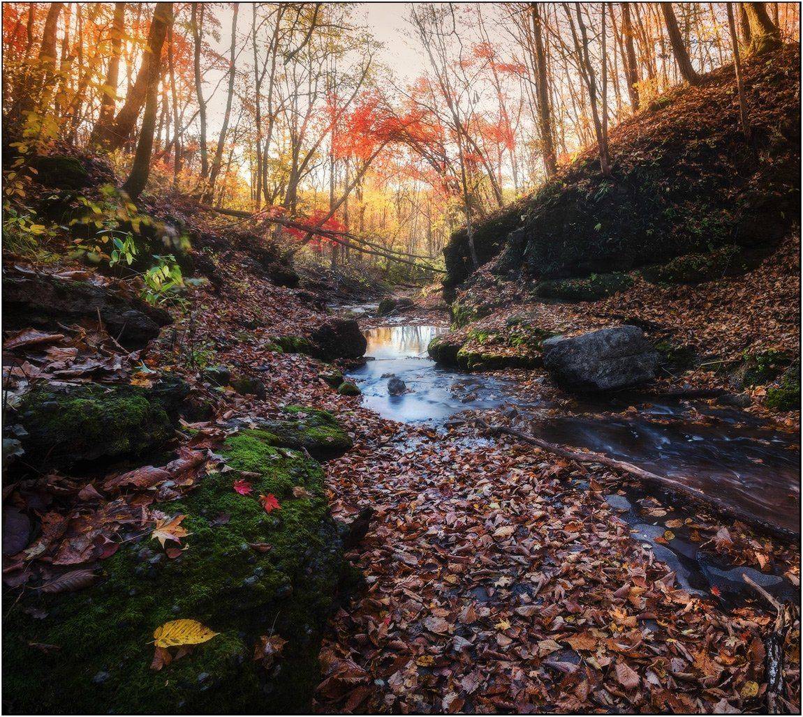 , Андрей Кровлин