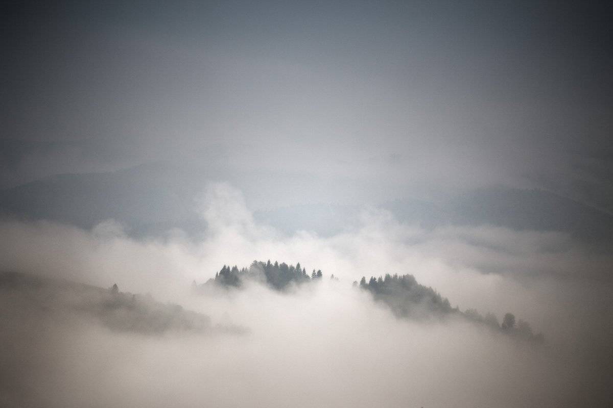 , Вейзе Максим