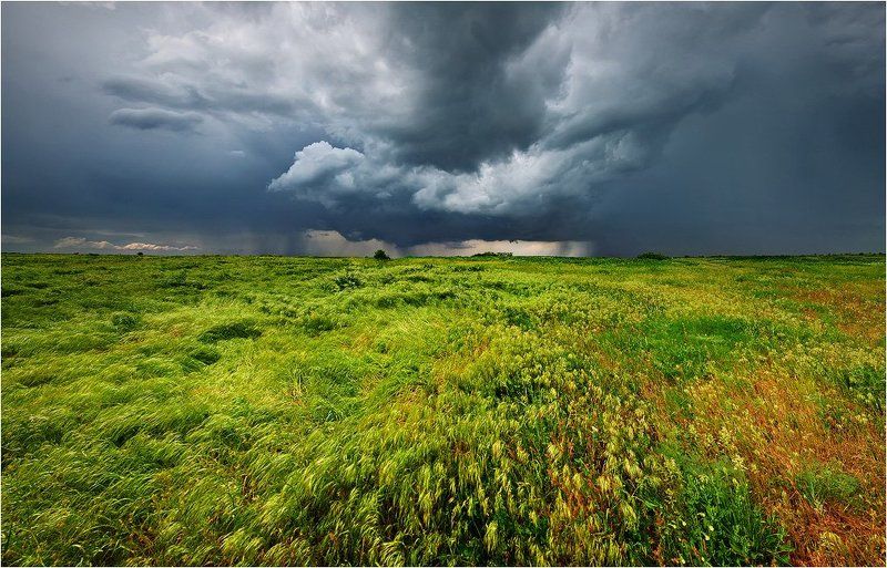 *** фото превью