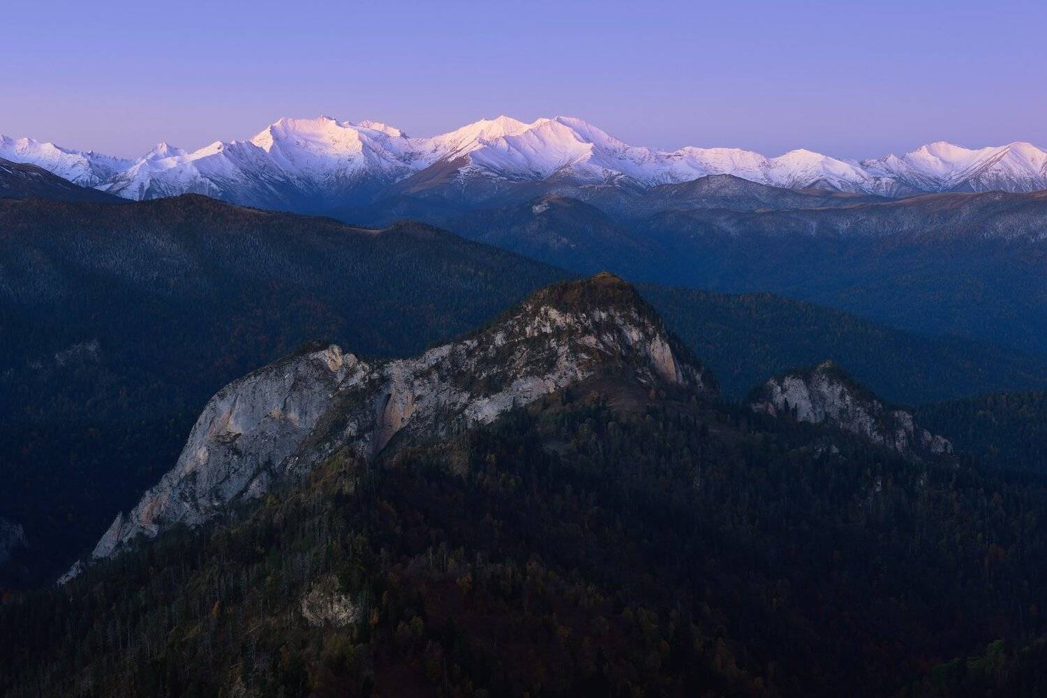 , Максим Евдокимов