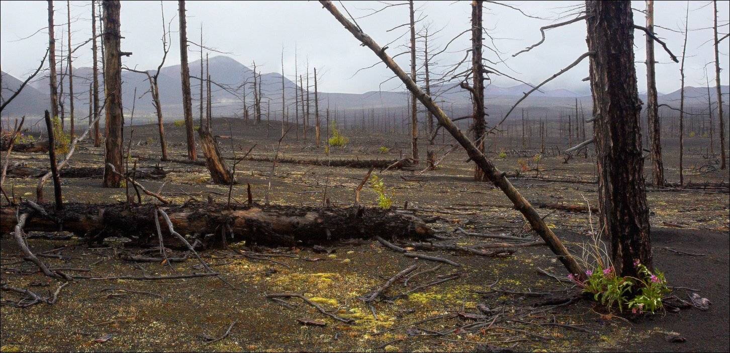 , Вадим Никифоров