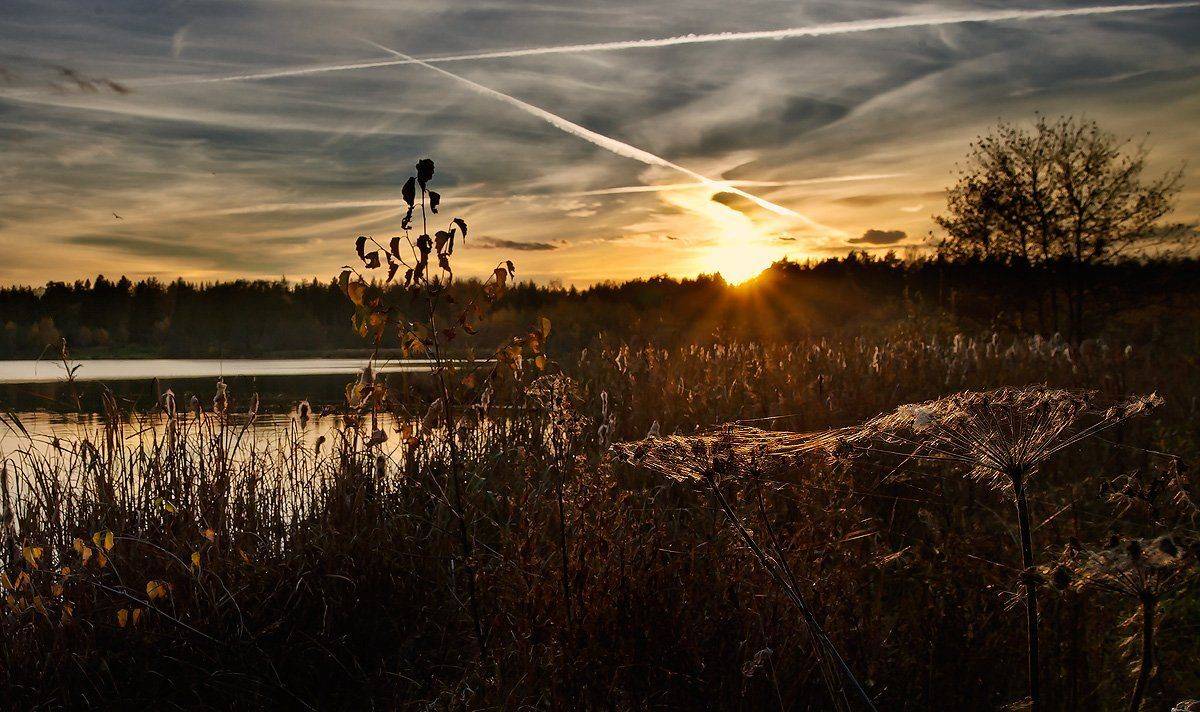 купавна., бисерово., Андрей Леонидович