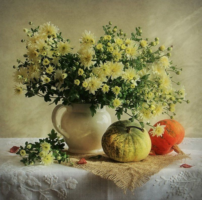 Хризантемы фото превью