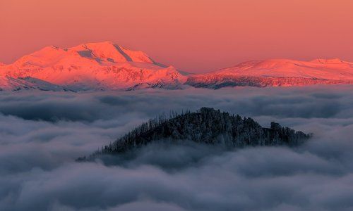 ВЕСЬ СТОИТ БЕЗ  ЗЕЛЕНИ, АБСОЛЮТНО ВЕСЬ, ОСТРОВ  НЕВЕЗЕНИЯ В ОКЕАНЕ  ЕСТЬ.