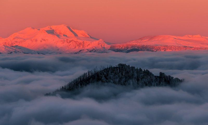 кавказ, утро, осень, 2013, октябрь, хребет, корыта, оштен, лес , горелый , рассвет ВЕСЬ СТОИТ БЕЗ  ЗЕЛЕНИ, АБСОЛЮТНО ВЕСЬ, ОСТРОВ  НЕВЕЗЕНИЯ В ОКЕАНЕ  ЕСТЬ. фото превью
