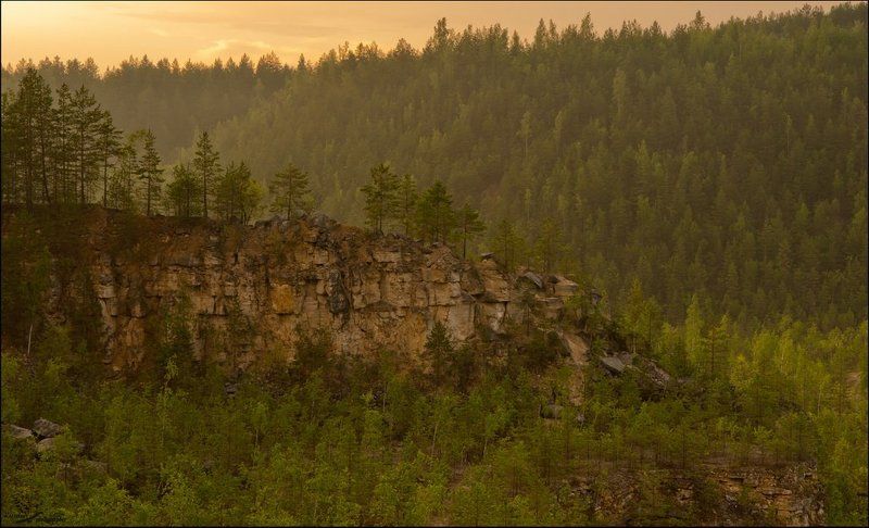 Золото Мещеры фото превью