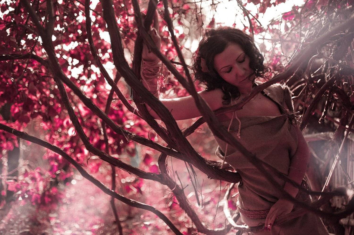 , Михаил Пустовит