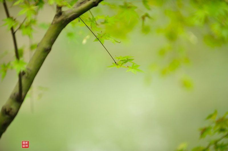 autumn фото превью