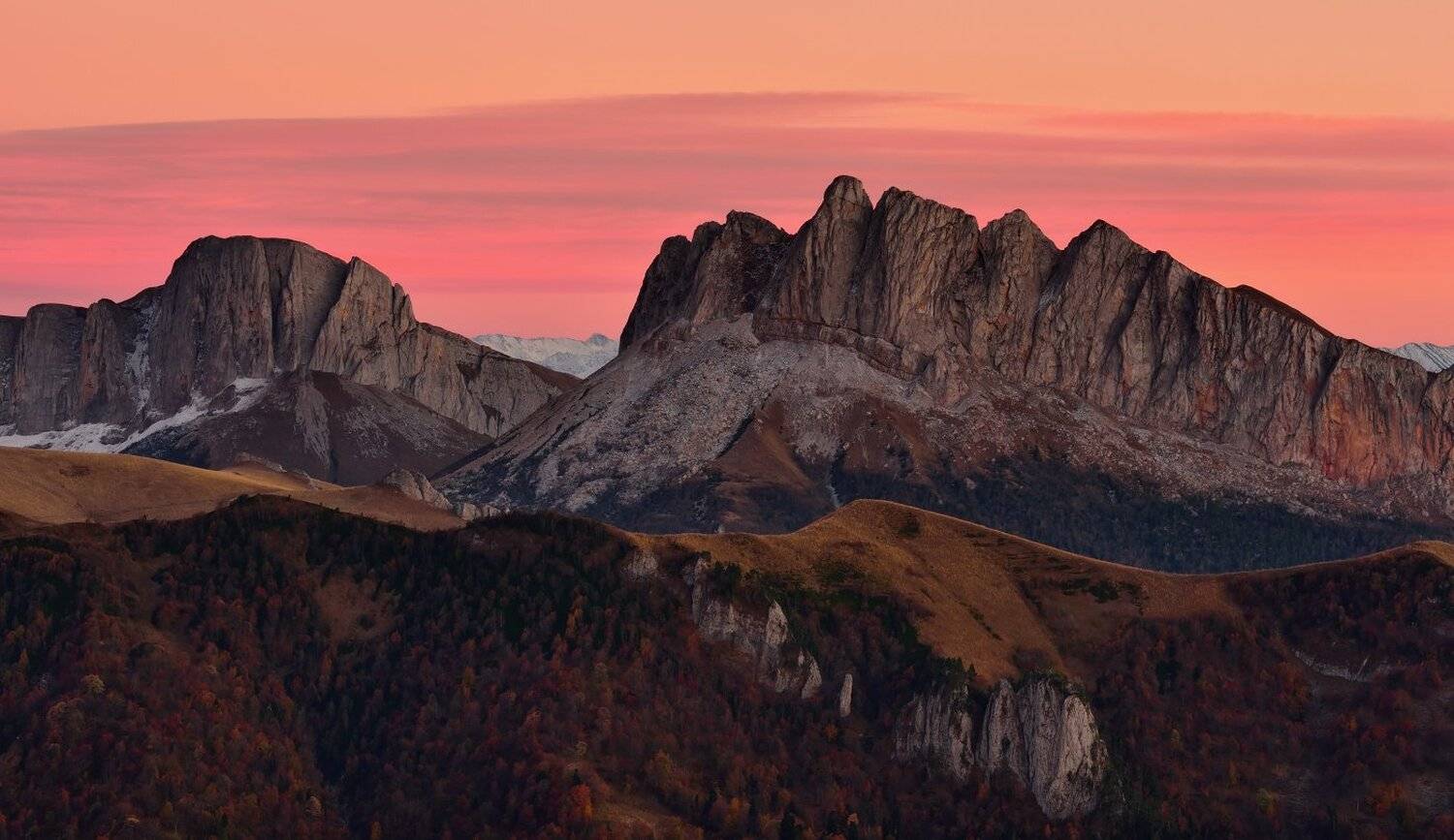 , Максим Евдокимов