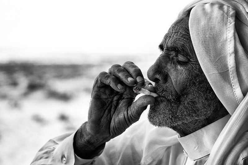 Taste Of Sinaiphoto preview