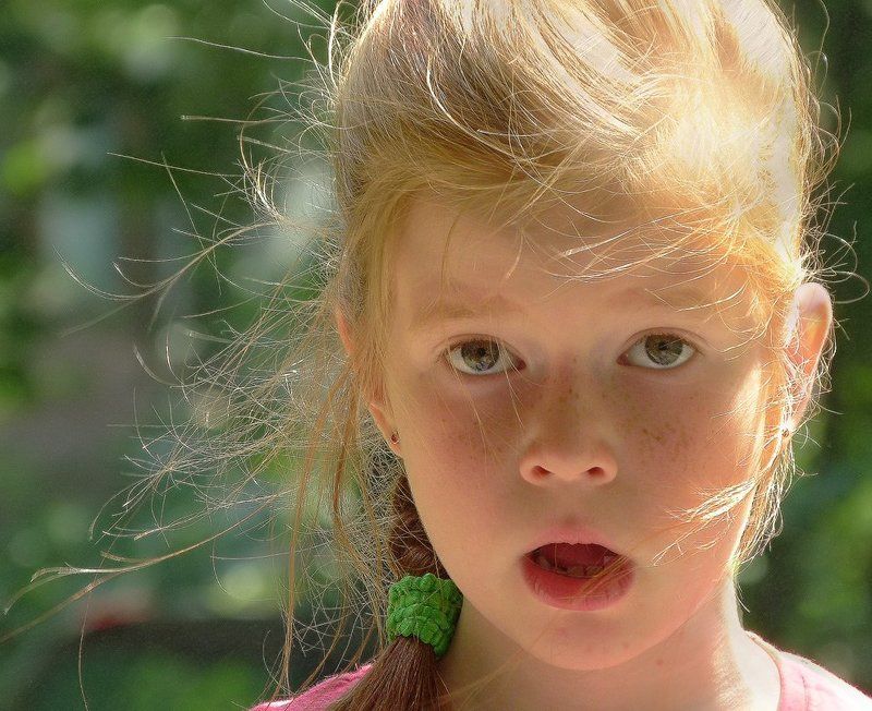 На ветру фото превью